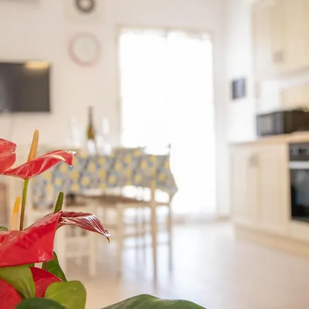 Fedelena Apartament